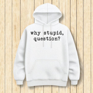 Why Stupid Question Project Hail Funny Space Quote Hoodie